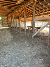 Load image into Gallery viewer, College Station - Turf Barn
